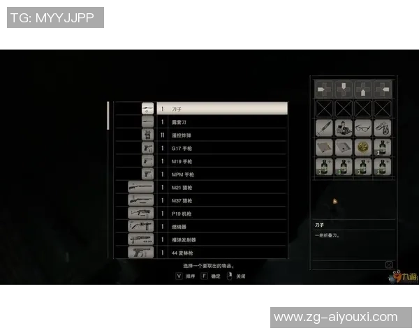 日本与欧美游戏下载地址对比分析及获取途径分享